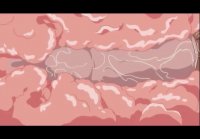 cartoon sex video