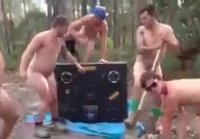 Osos desnudos divirtiéndose en el bosque 2017