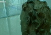 Nude celebs shower scenes vol 2