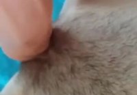 orgasm sex video