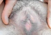 hairy pussy