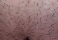 How do you like Pussy Unshaven