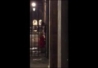 Compilation couples who suck and fuck outdoors in public