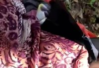 Blowjob and handjob in the forest with my wife