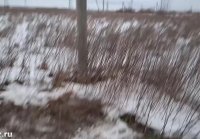 Apuesto una mamada en la naturaleza en el campo de nieve