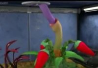 Alien flower bj