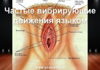 Как довести свою партнершу до оргазма?