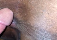 shaved pussy pics