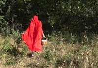 Sexual adventures of teen red riding hood