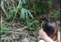 In the forest near a hand gives a blowjob to a guy