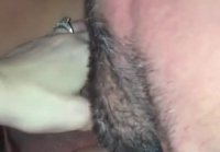 bbw porn