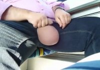 Papá oso de gran vientre juega con sus pelotas