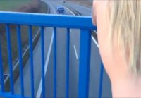 Lucy Cat having sex on a Bridge