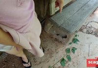 Public Sex in Abandoned House with Asian Teen and Cum Inside