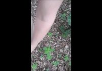 Blowjob after a casual acquaintance in the park