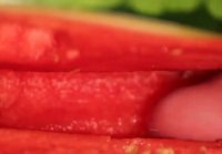 Muscular Stud Fucks and Cums on Watermelon