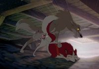 Balto X Jenna   Animación feral