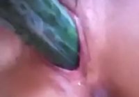 dildo sex video