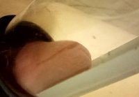 amateur porno