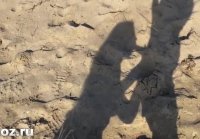 Novia chupó la polla en la playa y se entregó en el coño