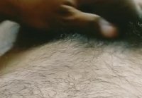 RajDev Dick Display