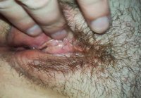 Hairy pussy