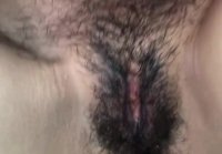 hairy pussy