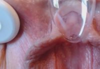 Masturbation clitoris close up