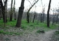 Filmed my wife on camera being fucked in nature